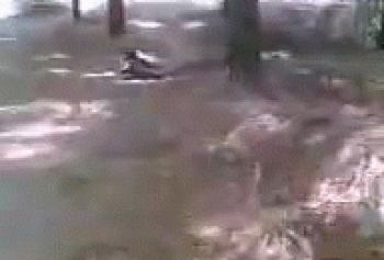 �� ����� �� ������ ������� ��� ������ ��������� �� ������ �������